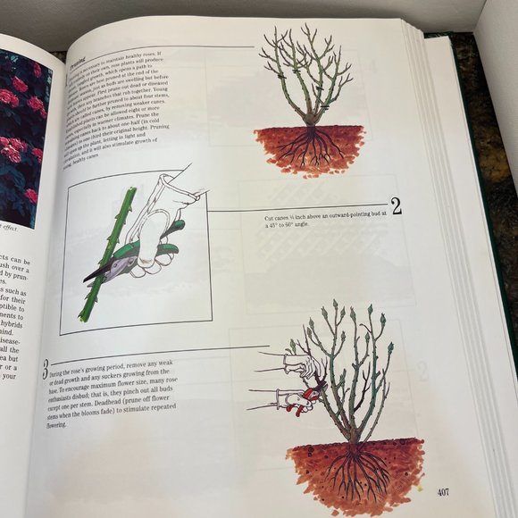 NWOT Treasury of Gardening Book by Publications International, LTD - Picture 10 of 10